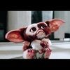 gizmothegremlin